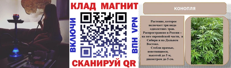 Где можно купить наркотики Малая Вишера МАРИХУАНА  Мефедрон  Кодеин  ГАШ  КОКАИН 