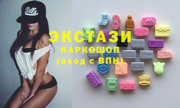 гидра Богородицк