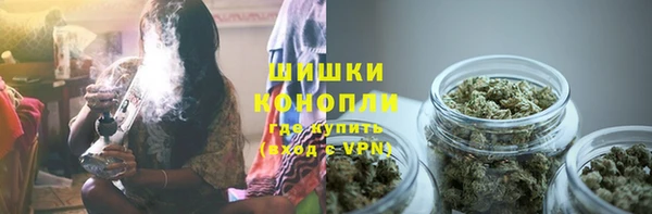 гидра Богородицк