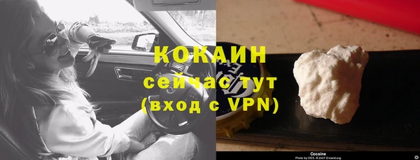 дмт Галич