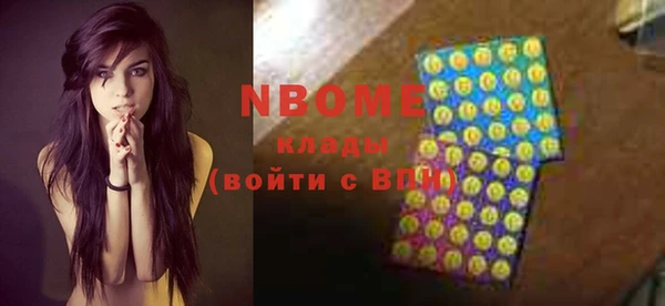 гидра Богородицк