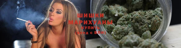 ешки Богданович