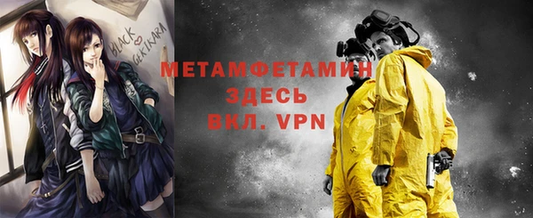гидра Богородицк