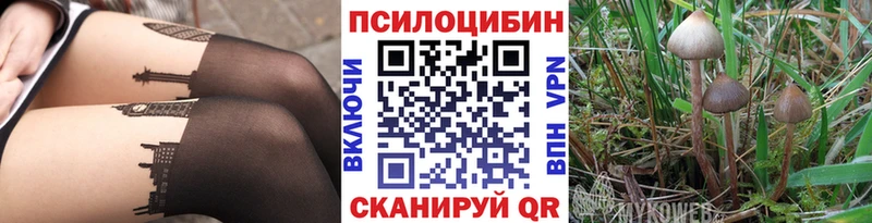 Галлюциногенные грибы Cubensis наркошоп Малая Вишера